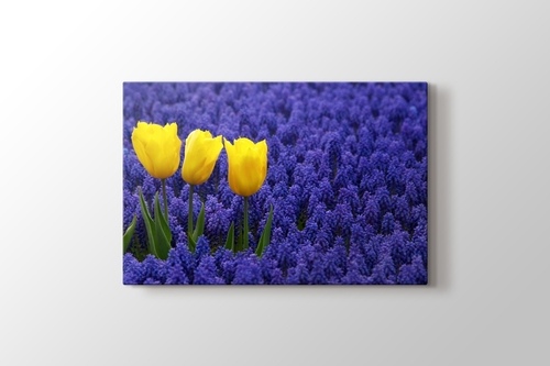 Picture of Three Yellow Tulips