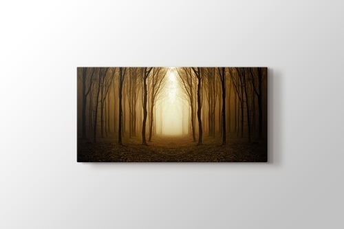 Picture of Golden Forest