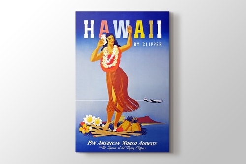 Picture of Hawaii Vintage