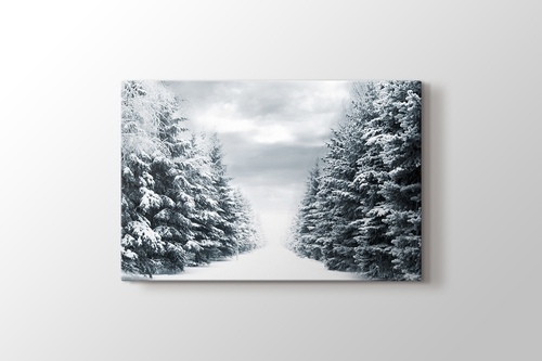 Picture of Snowy Road Between Trees