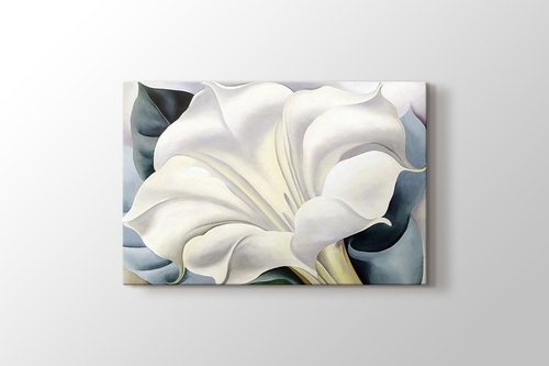 Picture of White Trumpet Flower