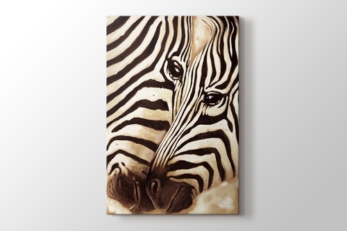 Picture of Zebras In Love