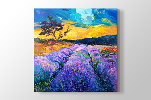 Picture of Lavender Field