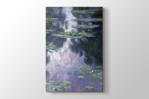 Picture of Water Lilies