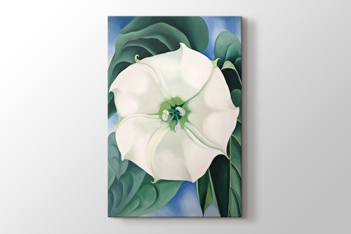 Picture of Georgia O'Keeffe - White Flower No1