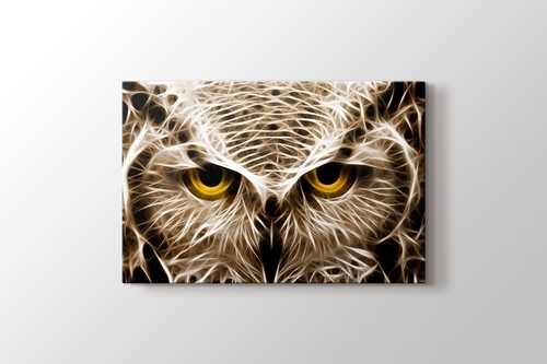 Picture of CloseUp Owl
