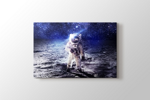 Picture of Astronaut on the Moon