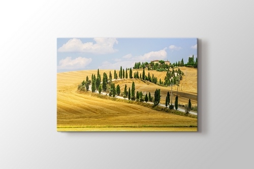 Picture of Tuscany