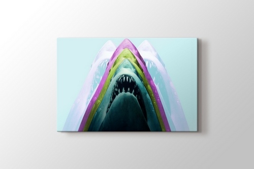 Picture of Shark