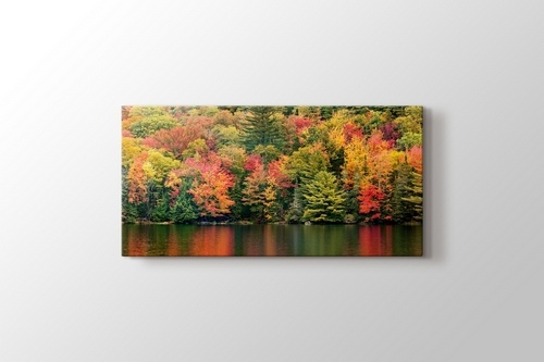 Picture of Autumn Foliage