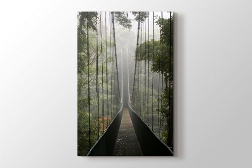 Picture of Bridge in the Forest