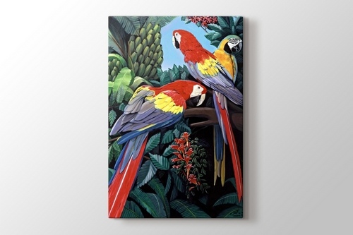 Picture of Parrots