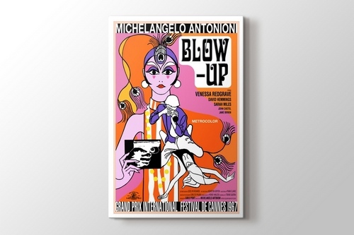 Picture of Blow Up