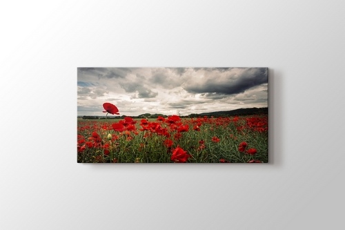 Field Of Poppies On Canvas by Brazen Design Studio