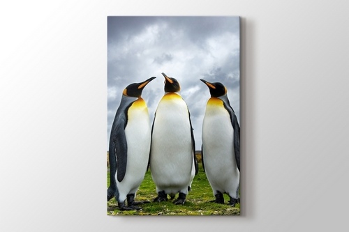 Picture of Penguin Family