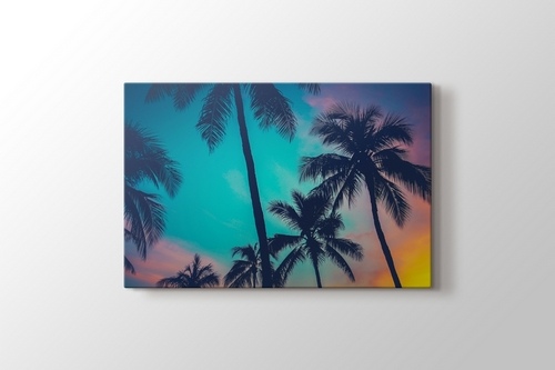 Picture of Palm Sky