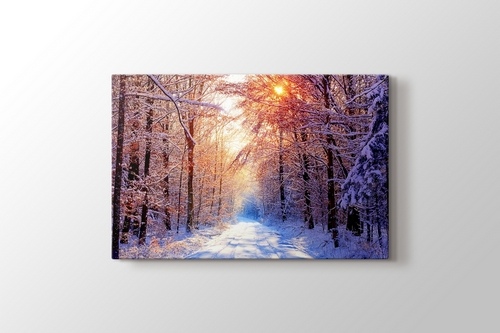 Picture of Snowy Road