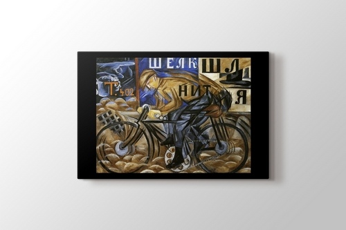 Picture of The Cyclist