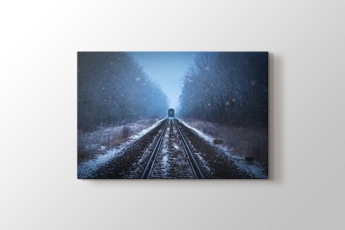 Picture of Snowy Trail