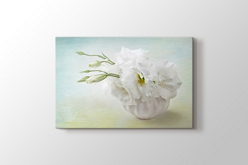 Picture of White Flower