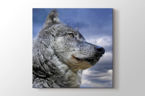 Picture of Wild Wolf