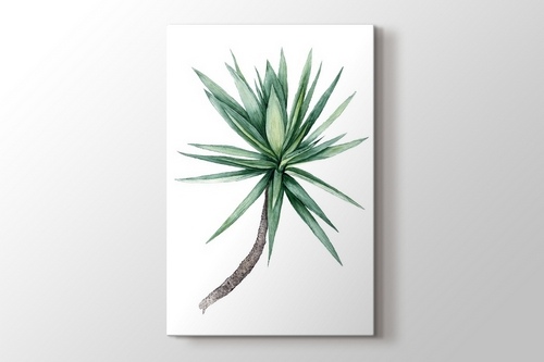 Picture of Watercolor Yucca Tree