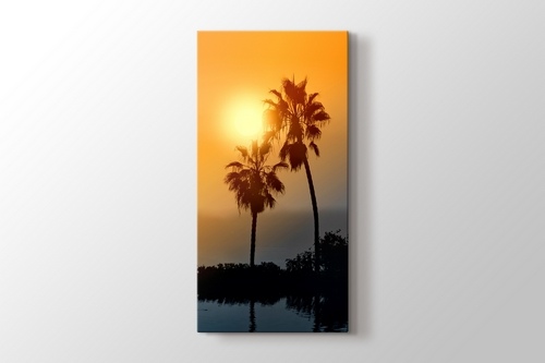 Picture of Palms