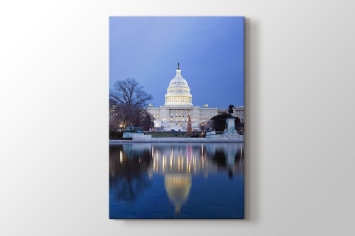 Picture of Washington DC - White House