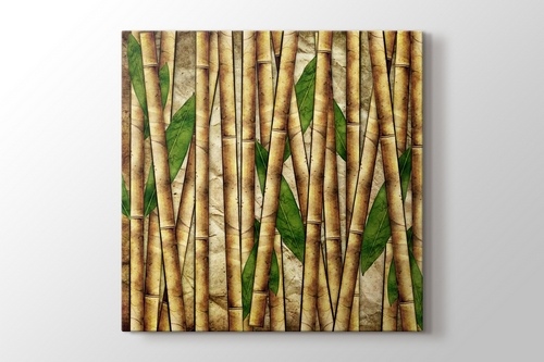 Picture of Bamboo