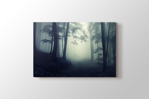Picture of Forest