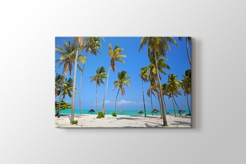 Picture of Tropical Palm and Sand Beach