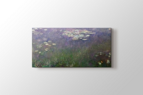 Picture of Water Lilies - Agapanthus