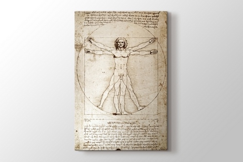 Picture of The Vitruvian Man 1498