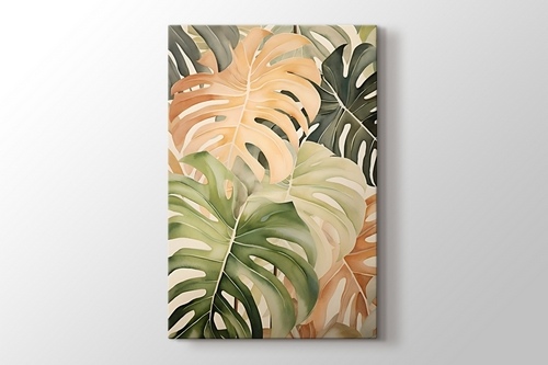 Picture of Monstera Minimal
